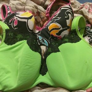 2 set of lane Bryant bras